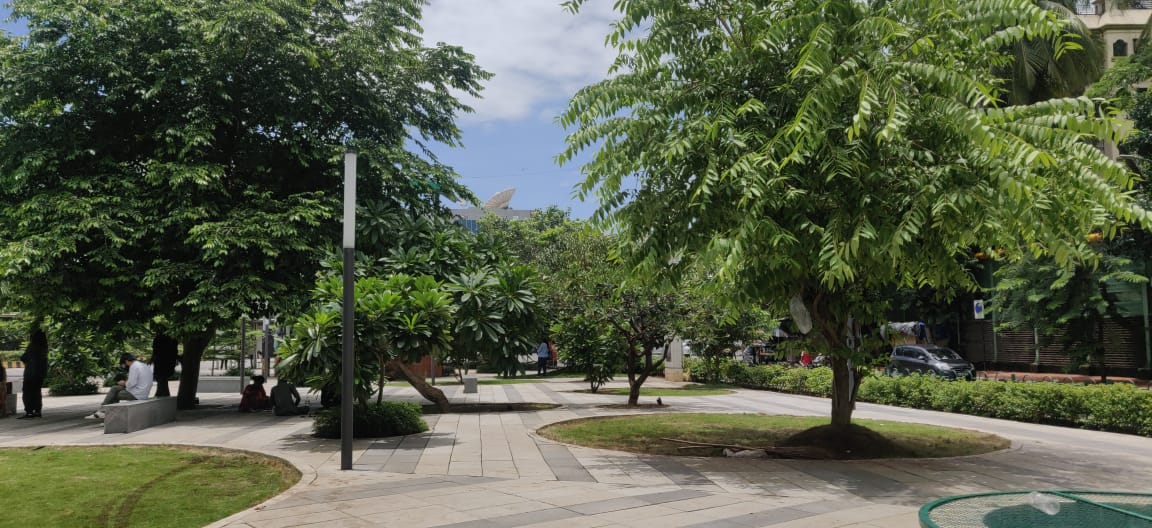 Beautiful garden landscape at BKC Park with lawn and plantation design